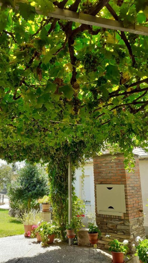 El Maragato Castrillo de Cepeda Exterior foto